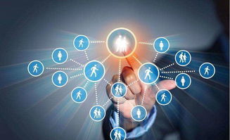 為何越來(lái)越多的人做京東新型店群項(xiàng)目,與傳統(tǒng)模式相比有什么優(yōu)勢(shì)